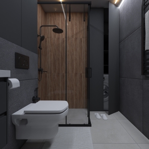 Санузел вид2.jpg